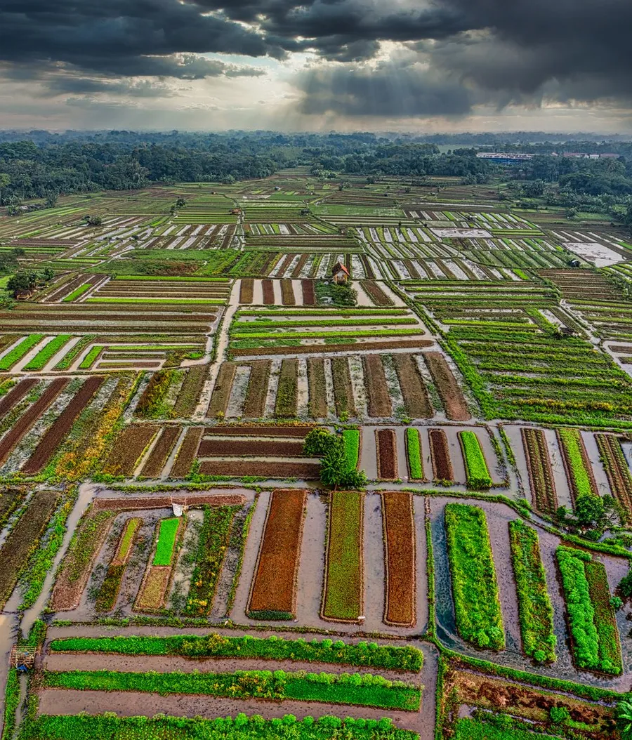 Ruộng chia thửa nhìn từ trên cao
