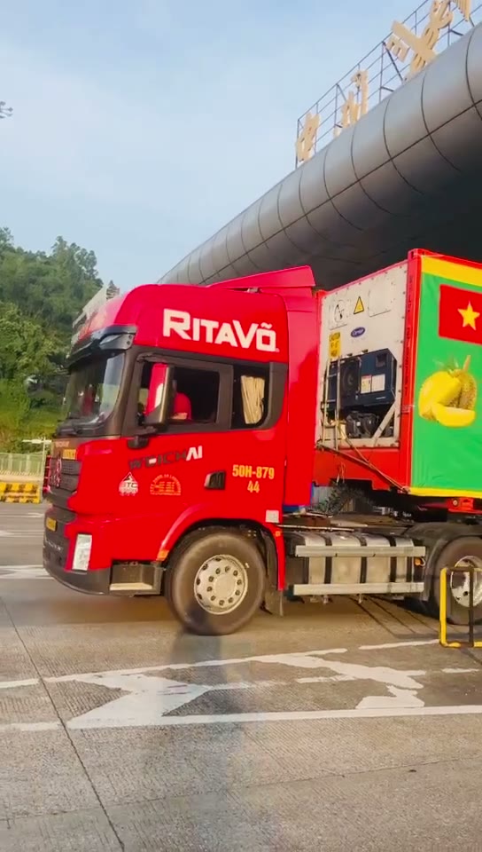 Quy trình quét mã tại vườn — Nông dân thực hiện quét mã định danh số