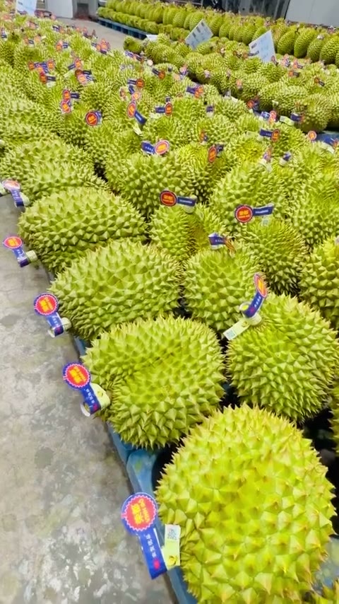 Vận chuyển nông sản xuất khẩu — Chuỗi cung ứng liên thông khép kín